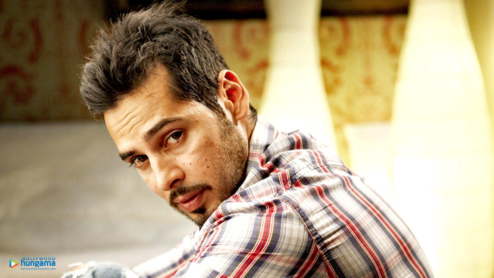 Dino Morea