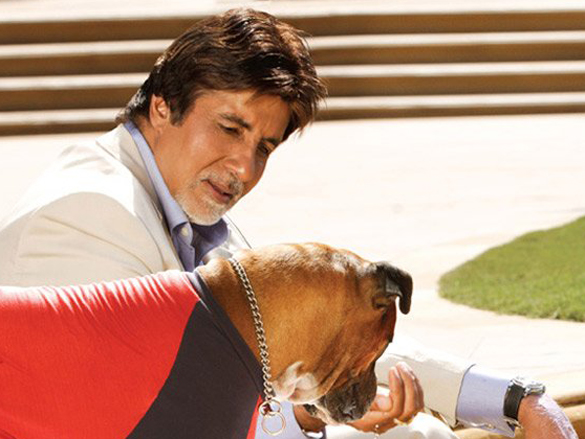 amitabh bachchan 10