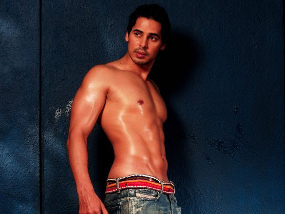 dino morea 12