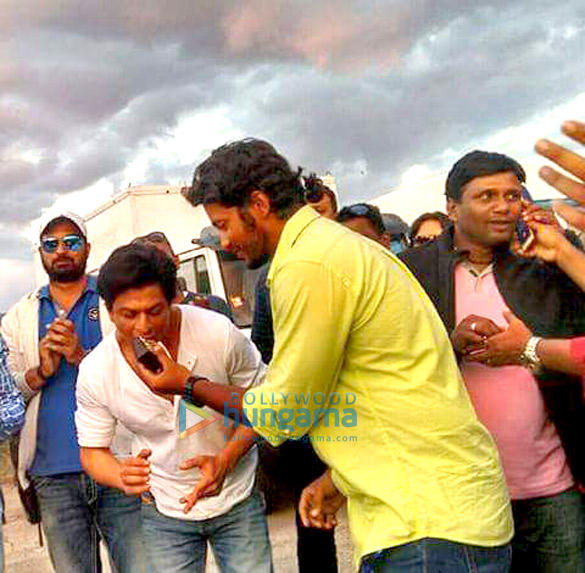 dilwale 81