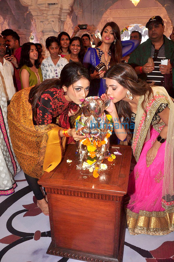 team of calendar girls visits andhericha raja ganpati 7