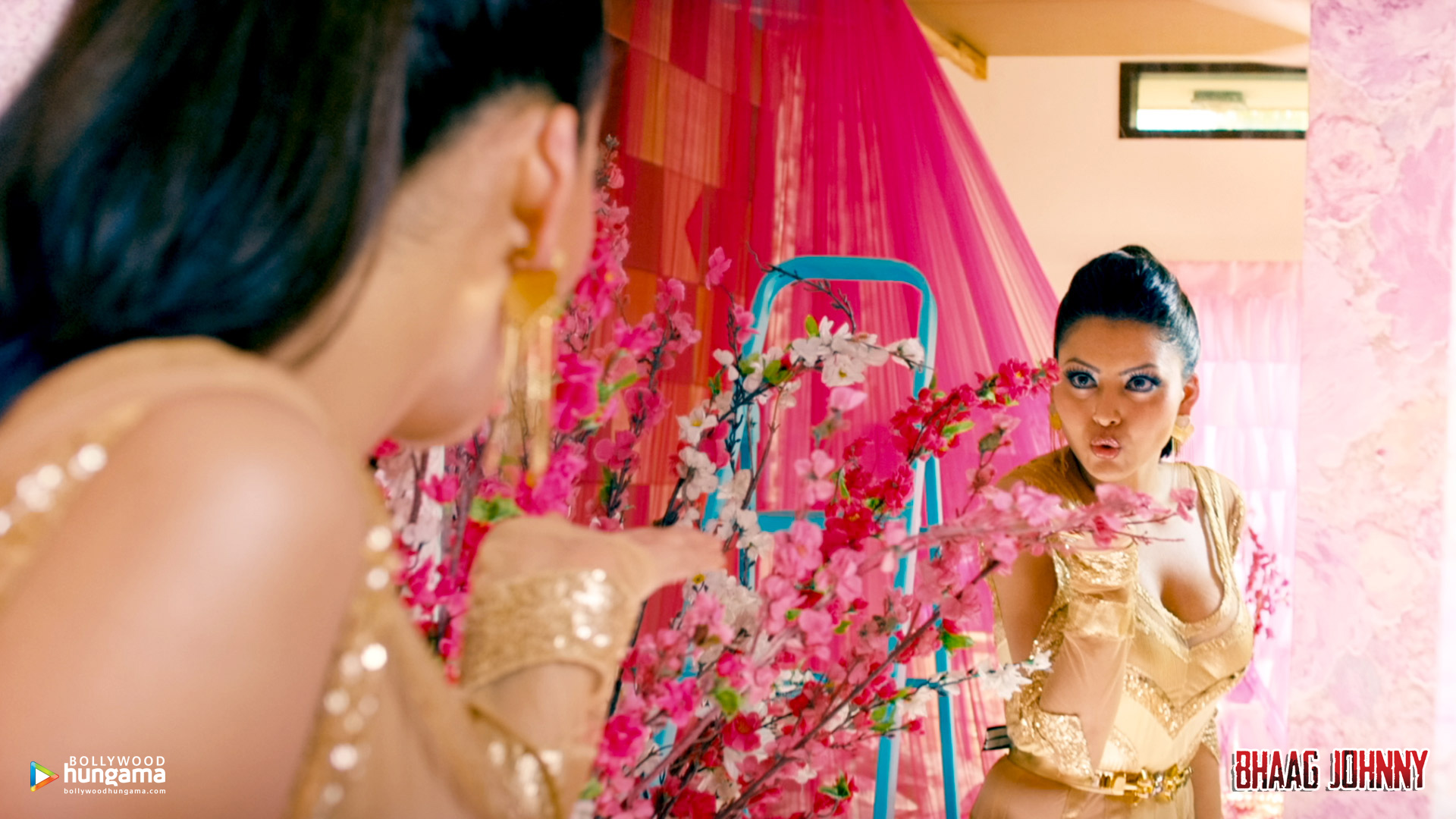 Bhaag Johnny Bhaag Johnny