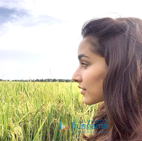 baaghi 23
