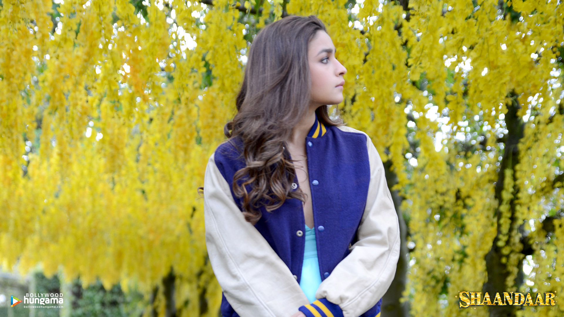 Shaandaar