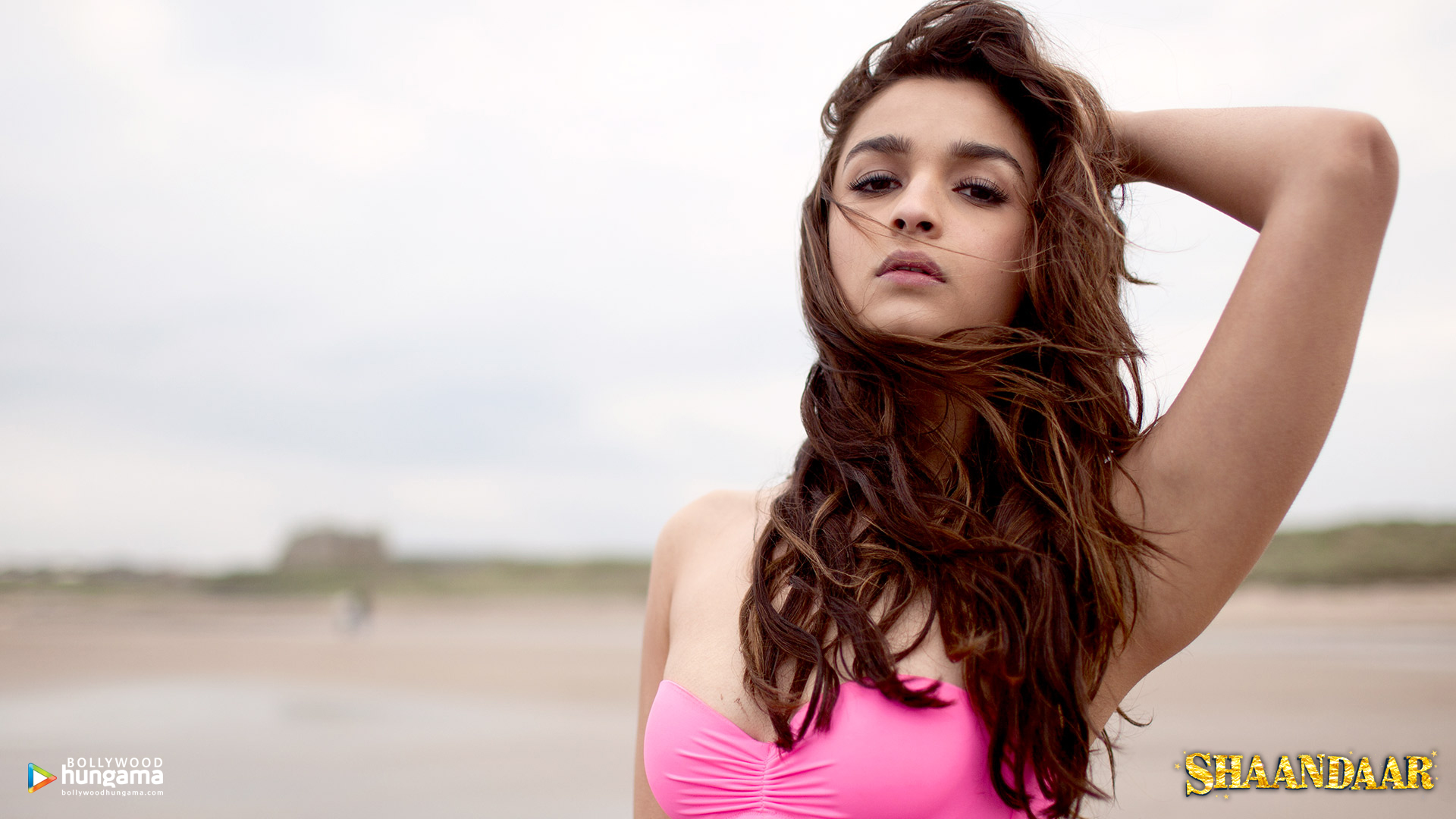 Shaandaar
