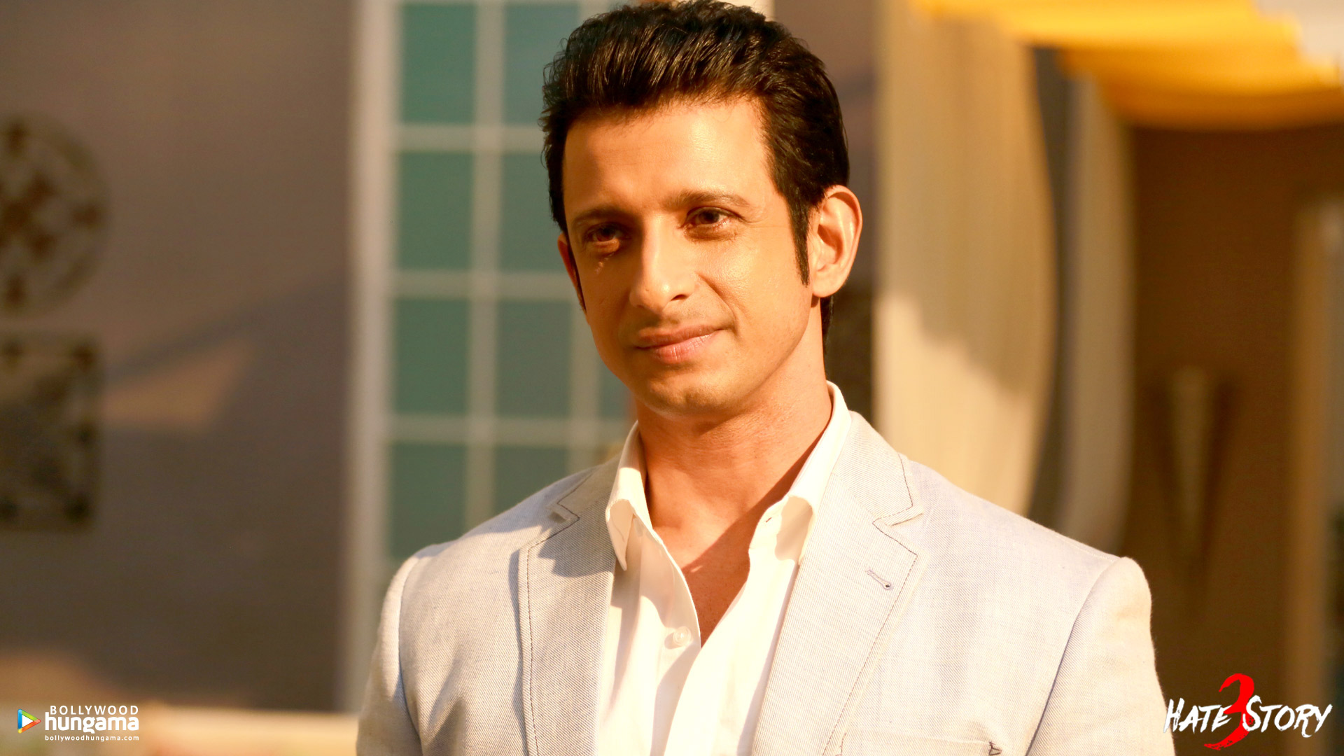 Hate Story 3