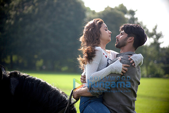 shaandaar 168