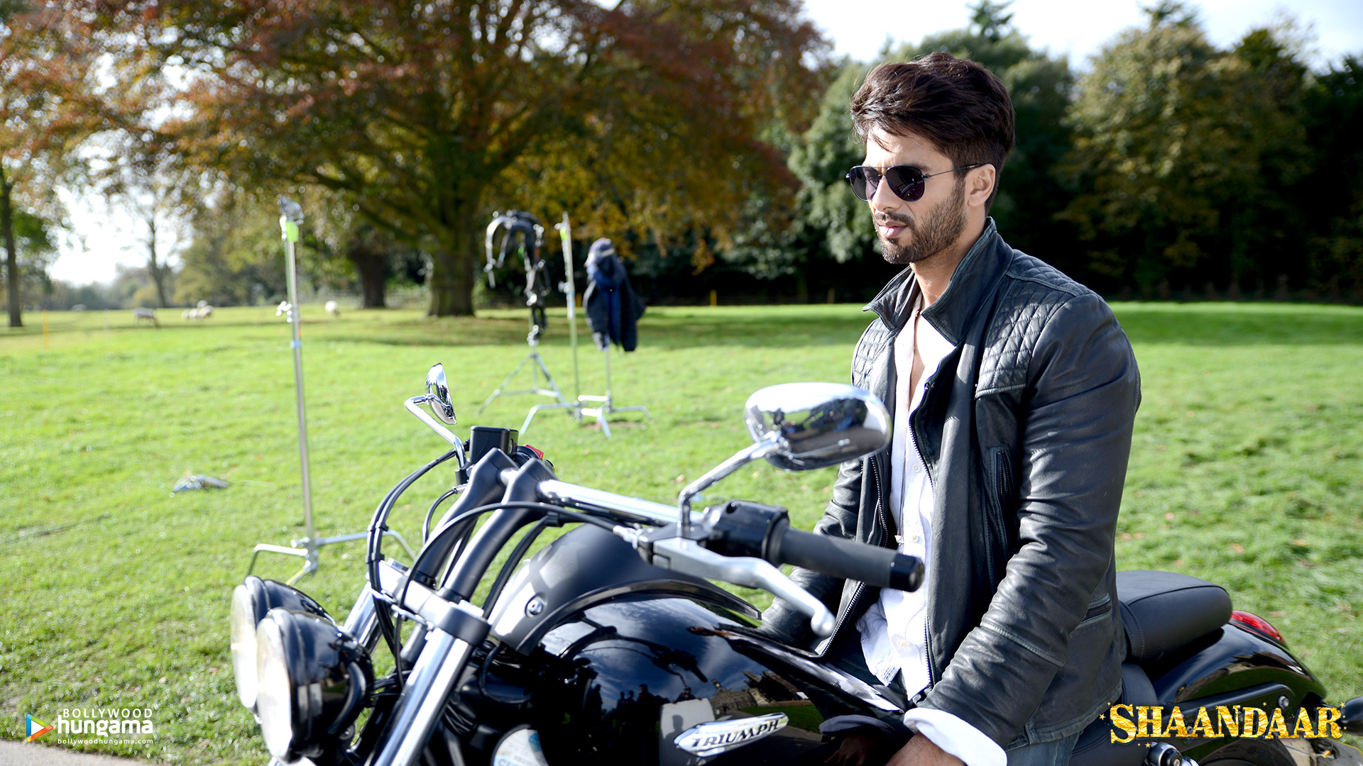 Shaandaar