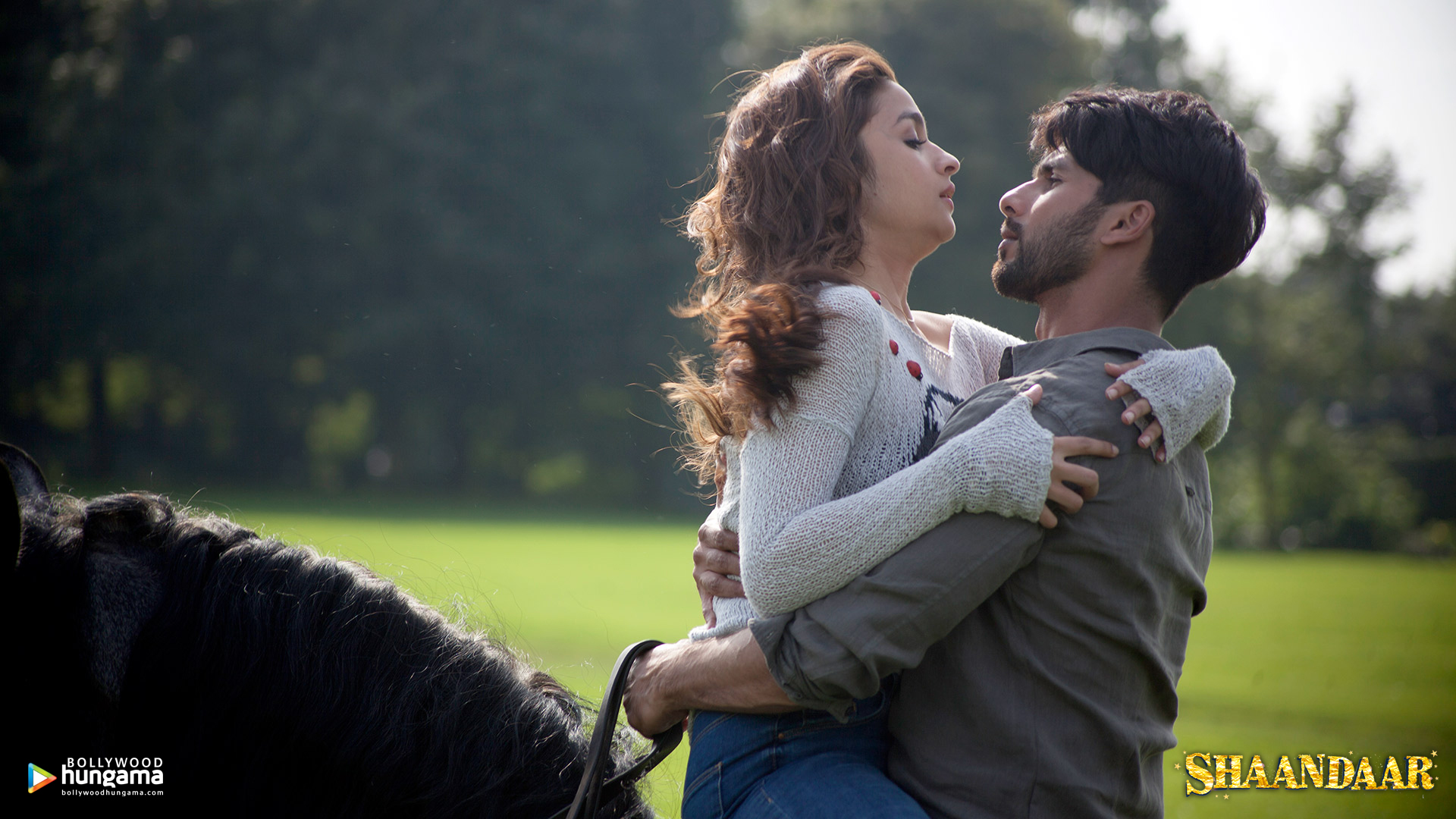 Shaandaar Shaandaar