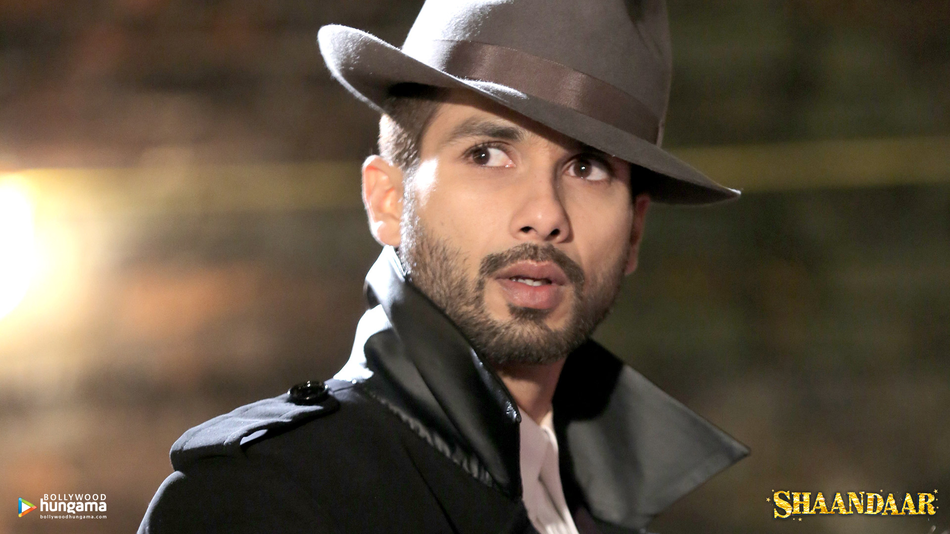 Shaandaar