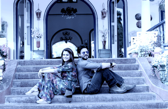 dilwale 113