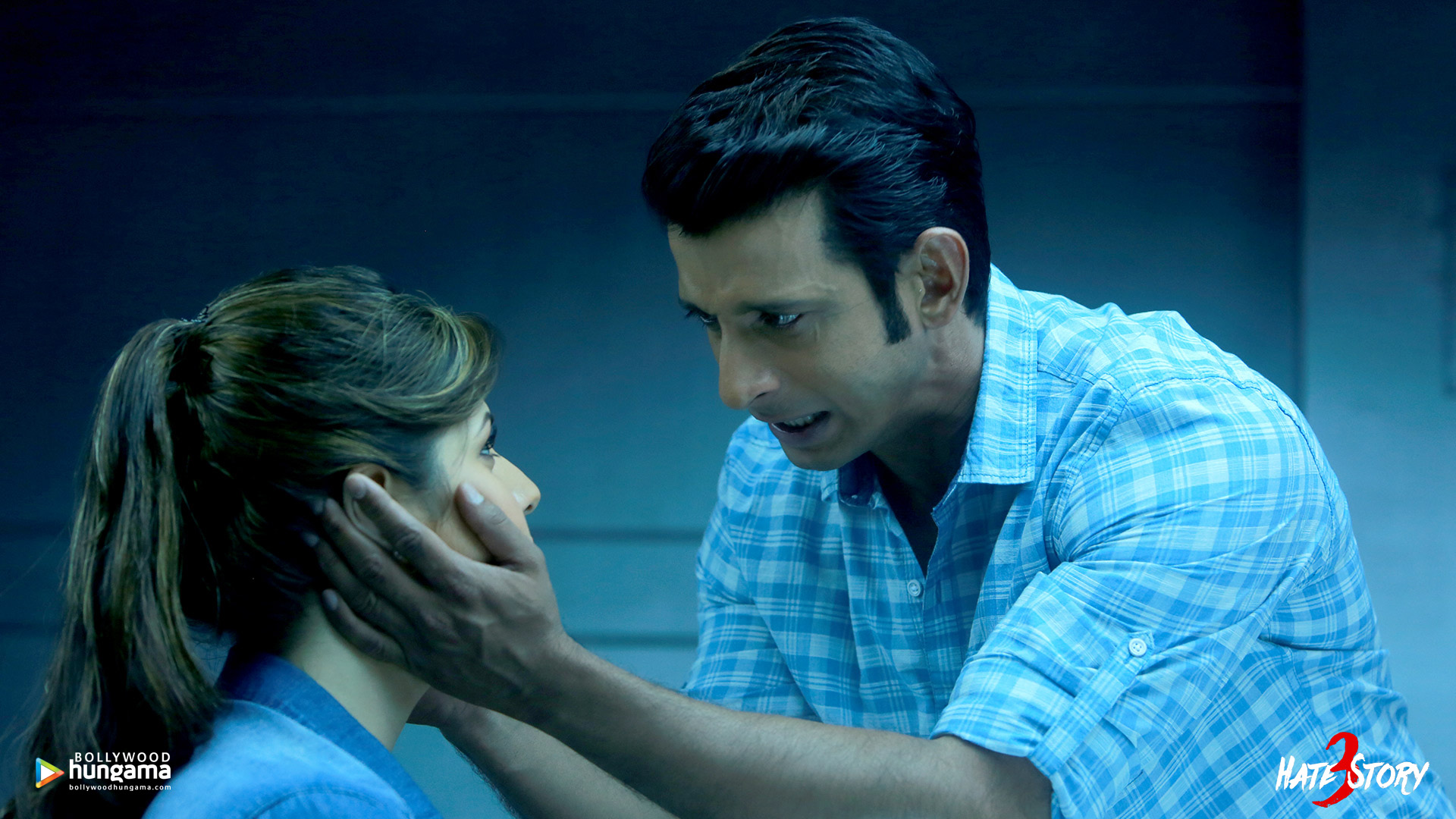 Hate Story 3