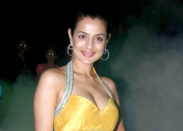 Ameesha to play prostitute in David Dhawan film