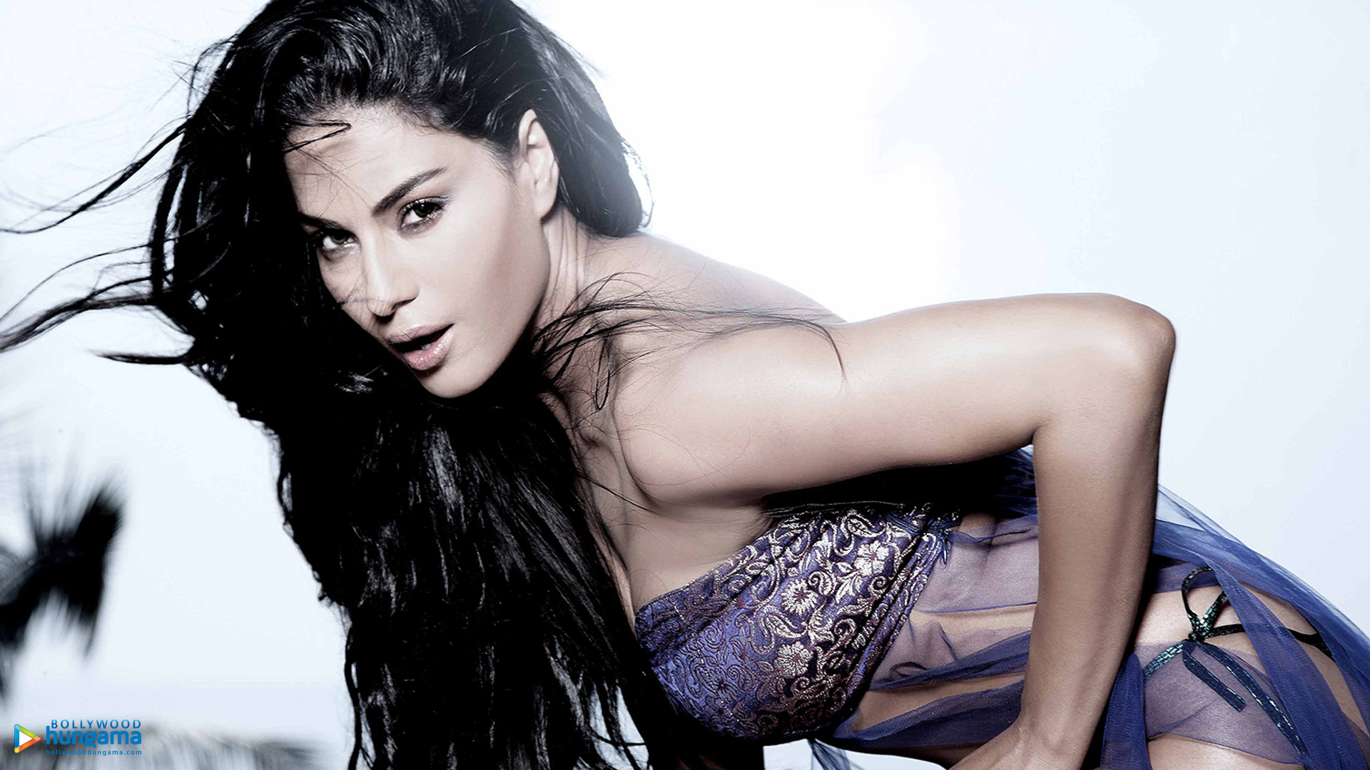 Veena Malik Veena Malik