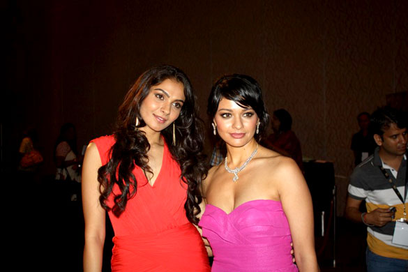 press conference of vishwaroop at iifa 2012 12