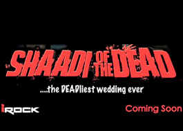 Rock The Shaadi on track confirms producer