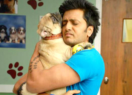 Fakhru becomes Shatru in Kyaa Super Kool Hain Hum