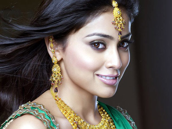 shriya saran 28