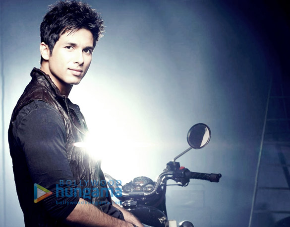 shahid kapoor 13