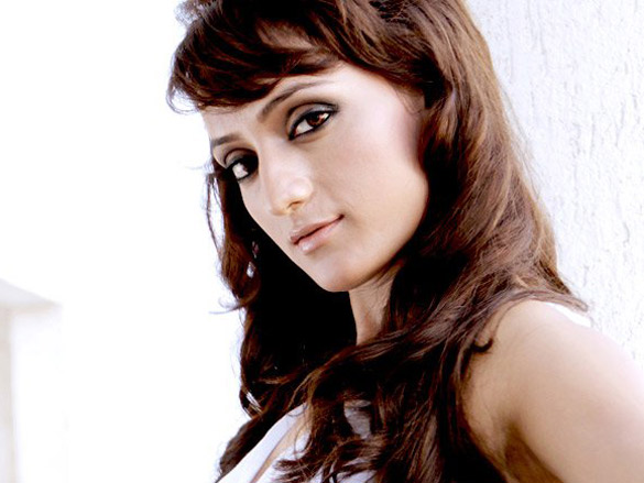 arshi 7