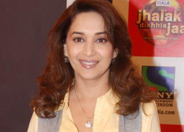 Madhuri Dixit to be brand ambassador of Comfort Liquid Conditioner Madhuri Dixit to be brand ambassador of Comfort Liquid Conditioner