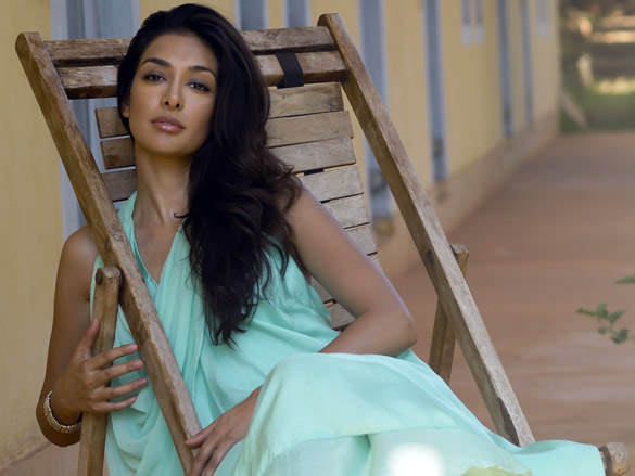 preeti desai 32