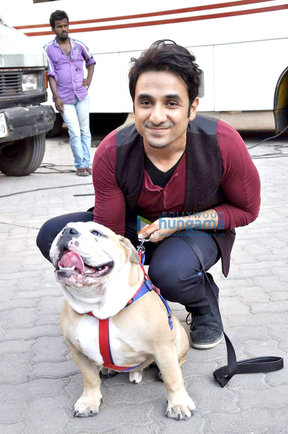 promotions of go goa gone 8