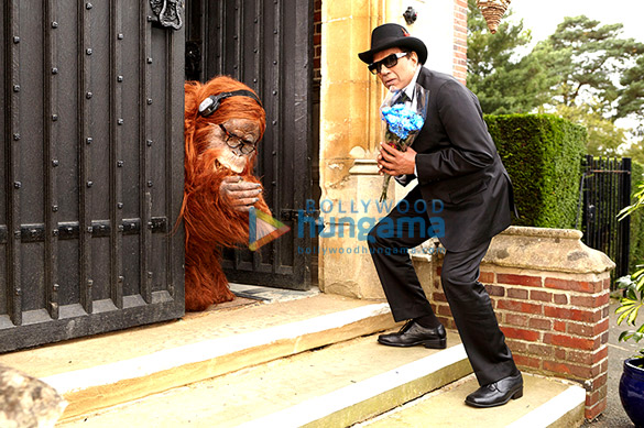 yamla pagla deewana 2 82