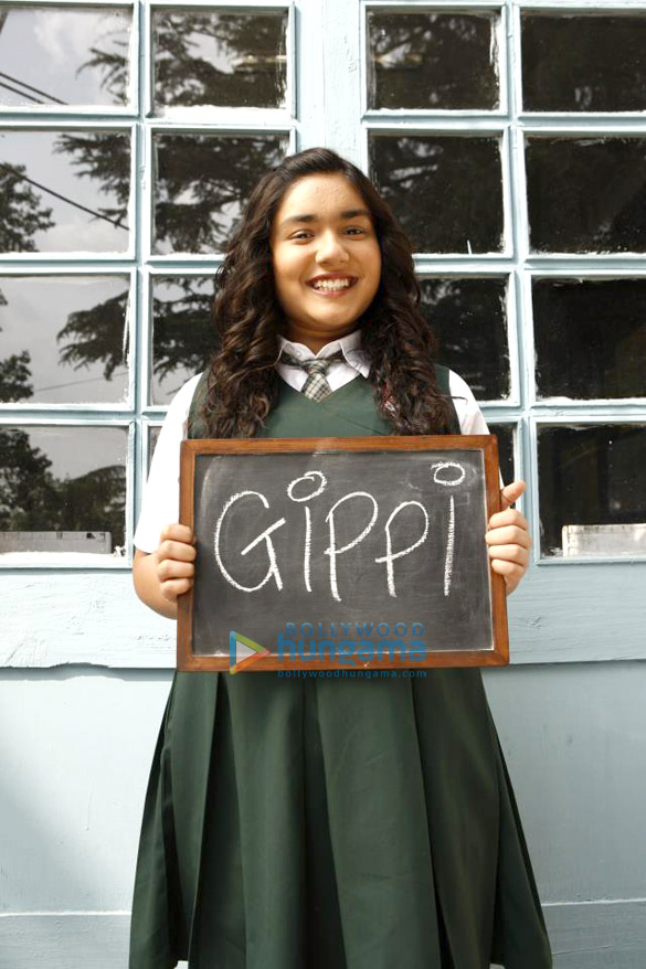 gippi 50