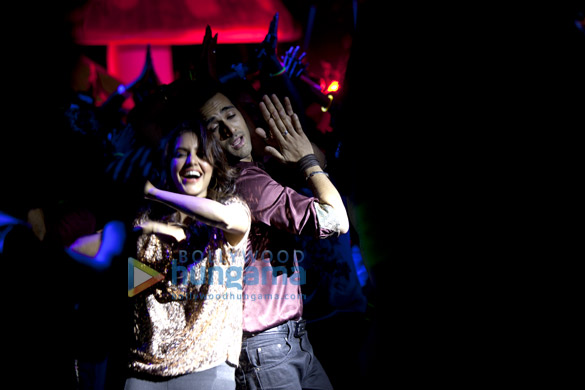 fukrey 24