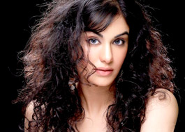 Adah Sharma to make South debut