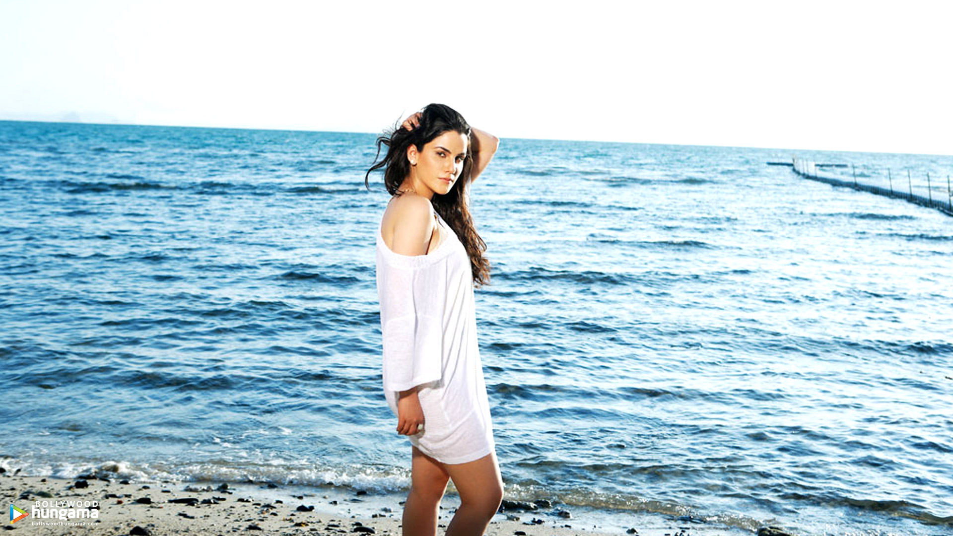 Kashish Singh