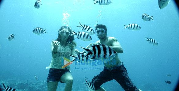 ek villain 31