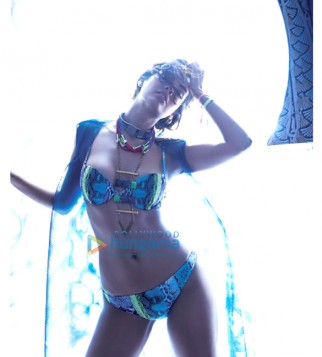 Celebrity Photo Of Esha Gupta