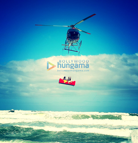 the shaukeens 59