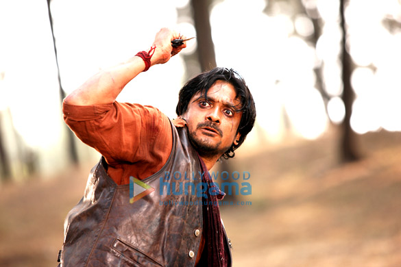 roar tigers of sunderbans 5