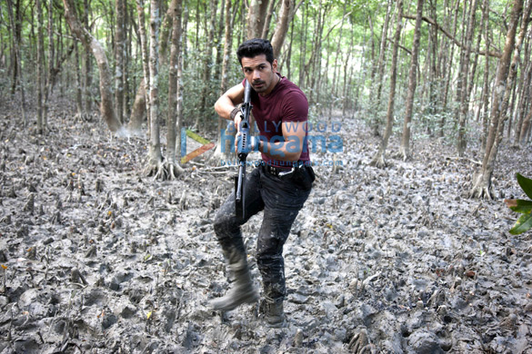 roar tigers of sunderbans 24