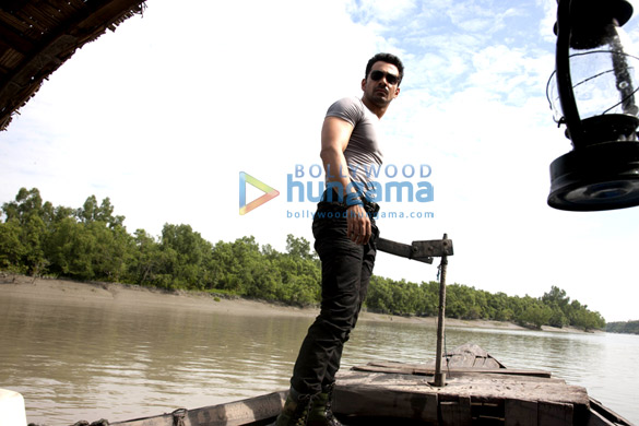 roar tigers of sunderbans 21