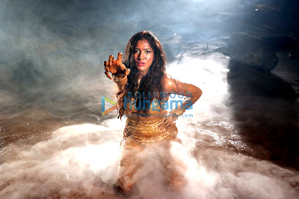 roar tigers of sunderbans 22
