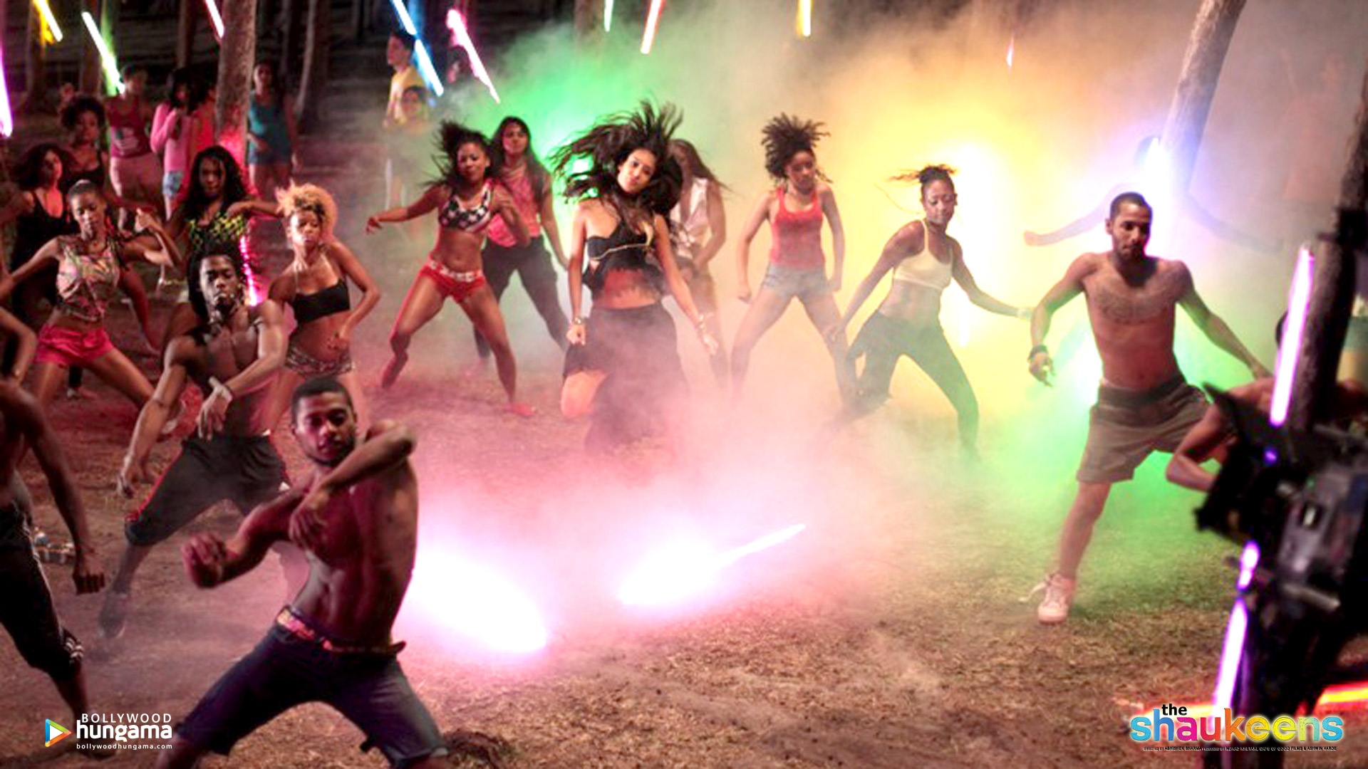 The Shaukeens