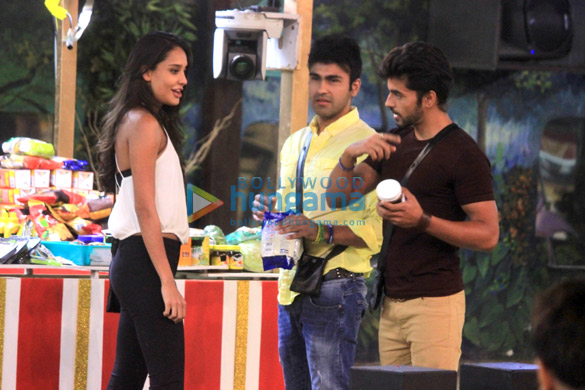 lisa haydon on bigg boss 8 4