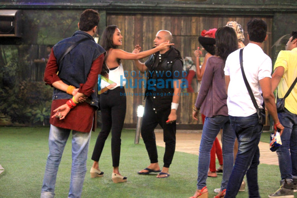 lisa haydon on bigg boss 8 11