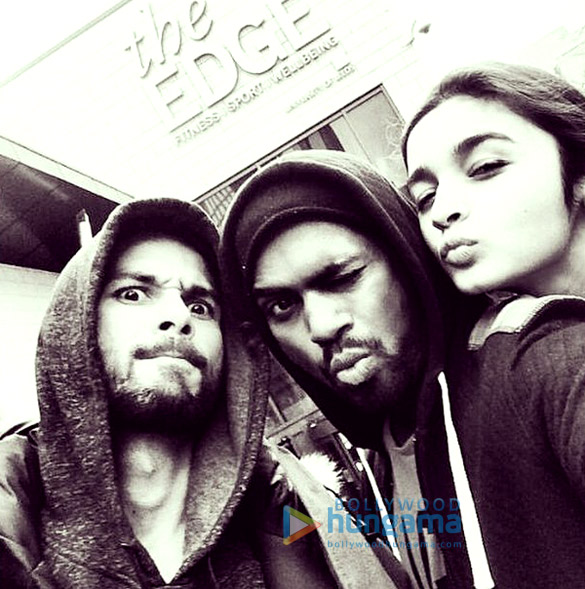 shandaar 4