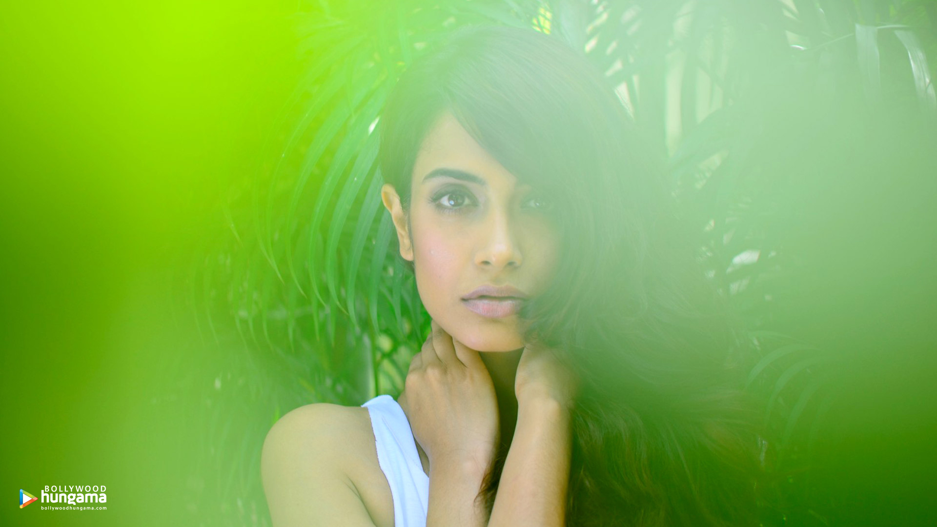 Sarah Jane Dias Wallpapers sarahjanedias21 Bollywood Hungama