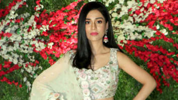 Celeb Wallpapers Of Amrita Rao