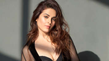 Celebrity Wallpapers of Anjana Sukhani