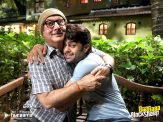 Wallpapers Of The Movie Baa Baaa Black Sheep