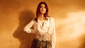 Celebrity wallpaper of Diana Penty