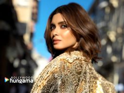 Celebrity wallpaper of Diana Penty