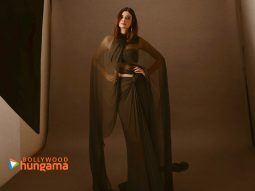 Celebrity wallpaper of Diana Penty